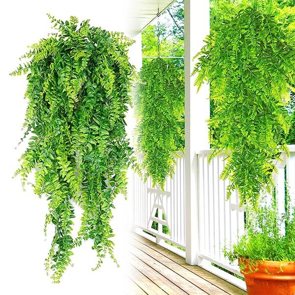 Dekoratívna visiaca rastlina - Fernleaves