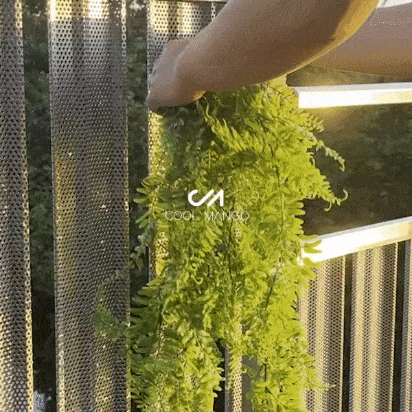 Dekoratívna visiaca rastlina - Fernleaves