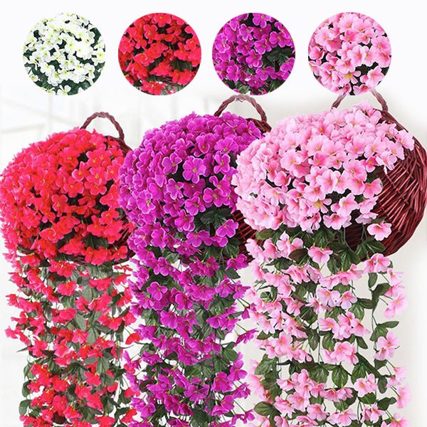 Dekoratívny visiaci kvet - Hangyplant